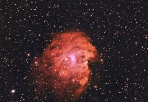  NGC 2174 MONKEY HEAD NEBULA