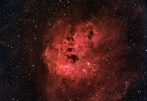 IC 410 Los Renacuajos