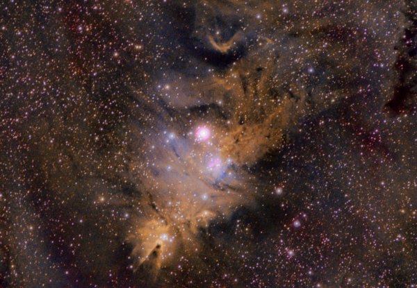  NGC  2264 Cone Nebula