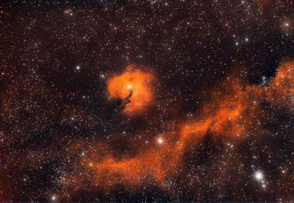   IC 2177  The Seagull Nebula